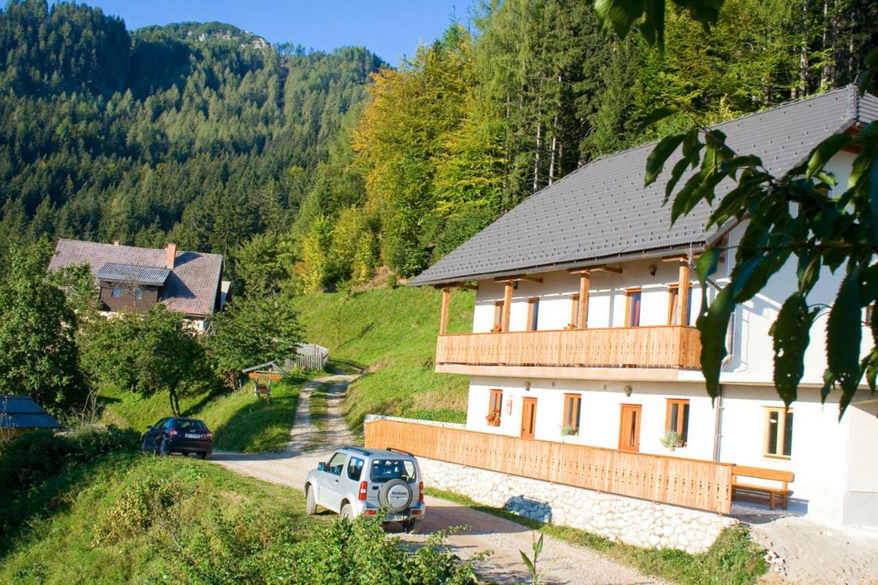 Turisticna Kmetija Perk Villa Solcava Exterior photo